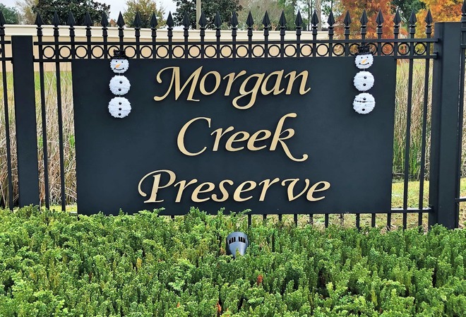 Morgan Creek Preserve Lakeland Fl