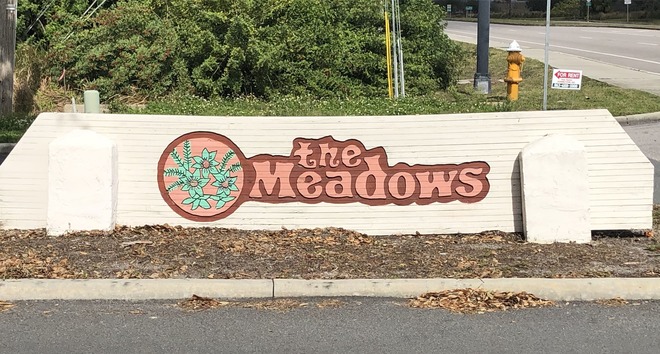 The Meadows in Lakeland Fl